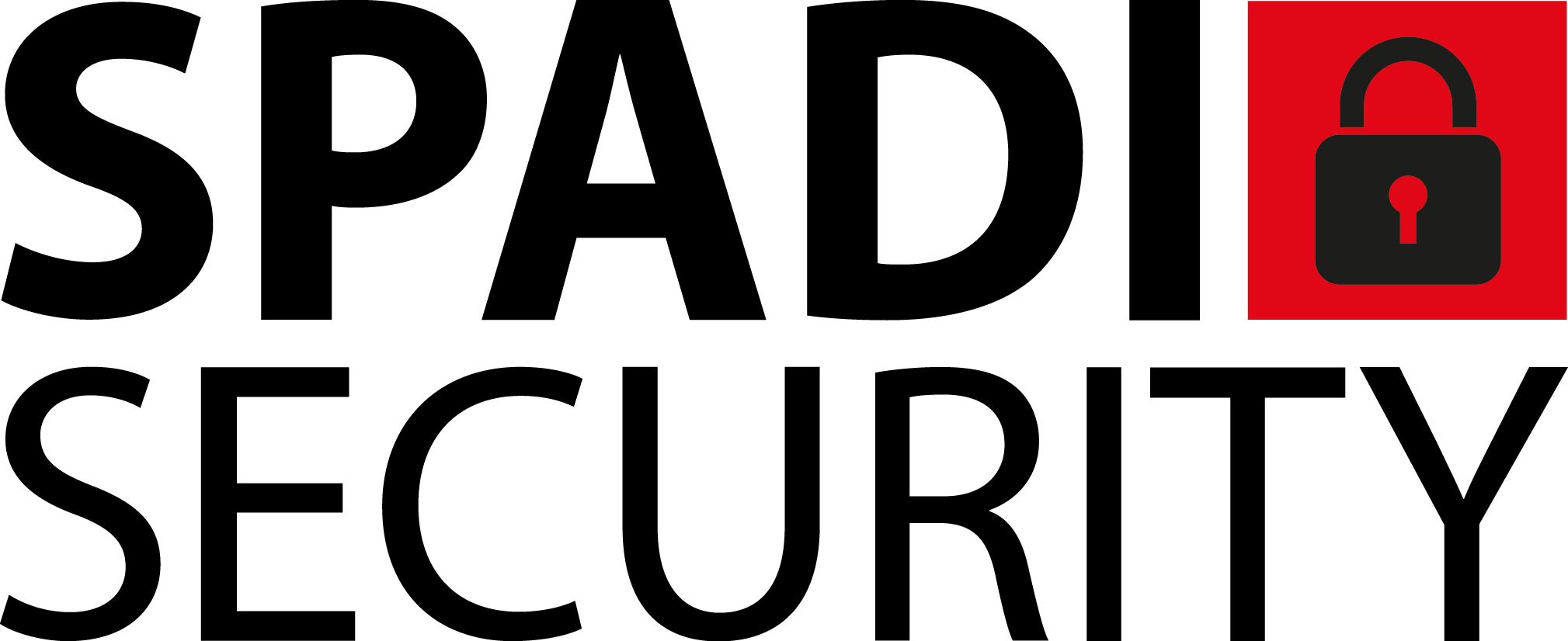 spadisecurity.de